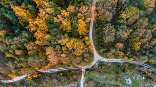 Водителям рассказали, как их могут "подловить" за невнимательность